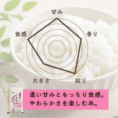 ふるさと納税 大網白里市 【令和8年産】千葉県 米 ミルキークイーン 10kg  (精米  5kg ×2袋) |  | 01