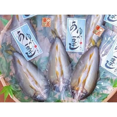 ふるさと納税 沼田市 あゆの一夜干し7枚入り