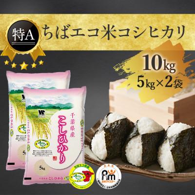 ふるさと納税 大網白里市 [令和6年産][特A評価]千葉県産「コシヒカリ」ちばエコ米 精米 10kg(5kg×2袋)
