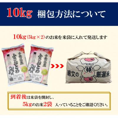 ふるさと納税 大網白里市 【令和7年産】千葉県産「ふさおとめ」精米 10kg(5kg×2袋)_1