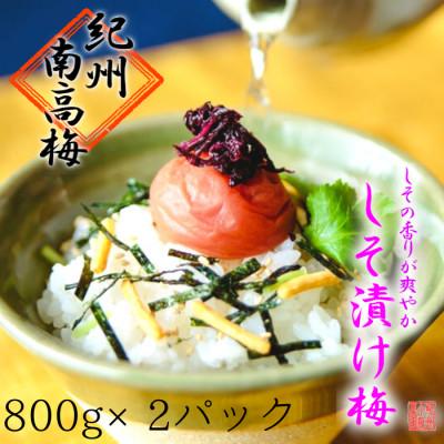 ふるさと納税 白浜町 [南高梅農家手づくり梅干]紅しその薫りしそ漬け梅(800g×2パック、計1600g)紀州小阪農園