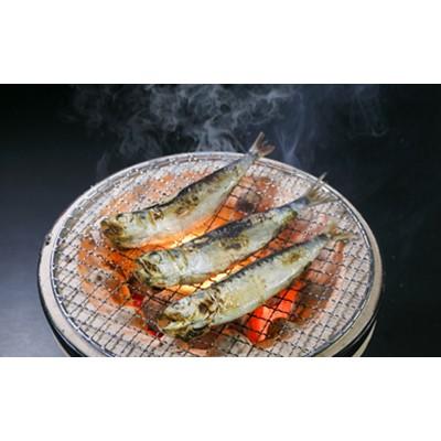 ふるさと納税 大網白里市 入梅いわしの丸干し 12尾