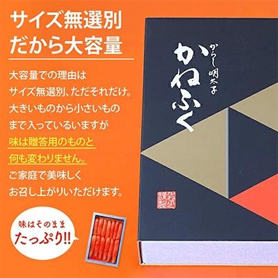 ふるさと納税 田川市 かねふく<無着色>辛子明太子2L 1kg(一本物) |  | 02