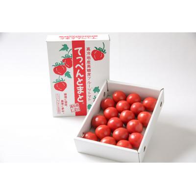 ふるさと納税 仁淀川町 てっぺんとまと特上品・夏秋限定 特上品 1kg/1箱