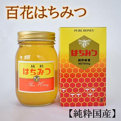 ふるさと納税 上富田町 [純粋国産]和歌山県産百花はちみつ約600g(上富田町)