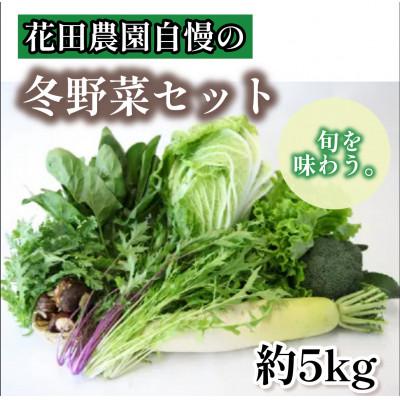 ふるさと納税 鞍手町 冬野菜セット (5kg)