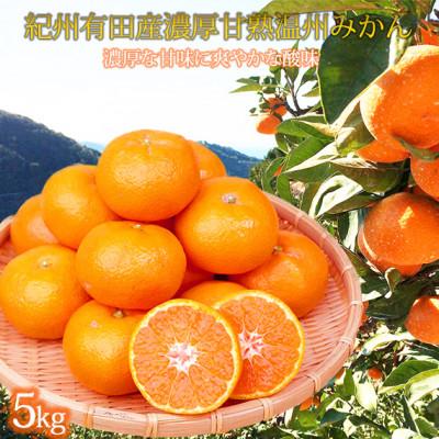ふるさと納税 上富田町 [上富田町][2026年11月中旬より発送]紀州有田産濃厚完熟温州みかん 5kg