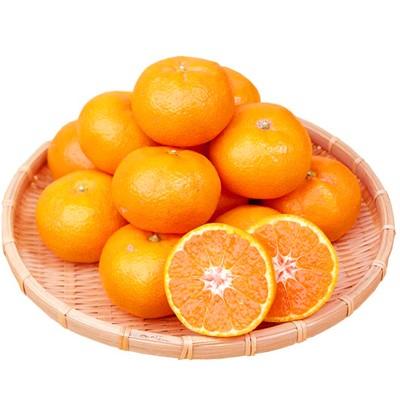 ふるさと納税 上富田町 [上富田町]紀州和歌山ハウスみかん2.5kg