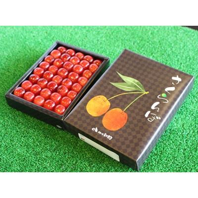 ふるさと納税 沼田市 さくらんぼ(佐藤錦)[果実の里原田農園]