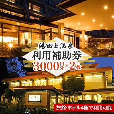 ふるさと納税 田上町 湯田上温泉利用補助券&lt;2枚&gt;