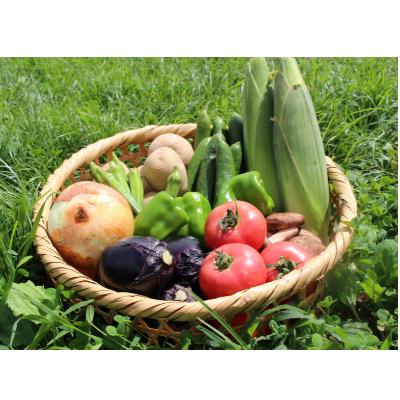 ふるさと納税 三春町 [旬の野菜]三春町産野菜の詰め合わせ