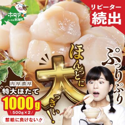 ふるさと納税 別海町 [禁輸に負けない] ほたて貝柱1kg 大玉 北海道野付産 500g×2 冷凍『ホタテといえば別海町』
