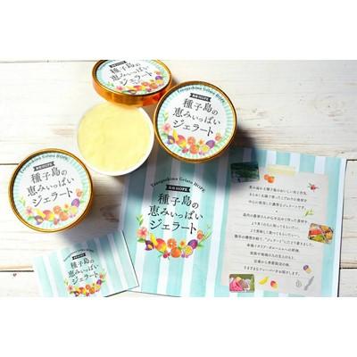 ふるさと納税 南種子町 種子島の恵みジェラート8個セット