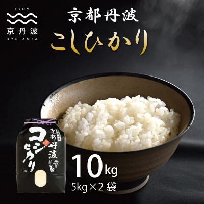 ふるさと納税 京丹波町 京丹波こしひかり 10kg 令和8年産 京都 米 精米