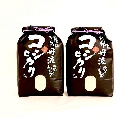 ふるさと納税 京丹波町 京丹波こしひかり 10kg 令和8年産 京都 米 精米