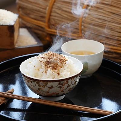 ふるさと納税 京丹波町 京丹波こしひかり 10kg 令和8年産 京都 米 精米