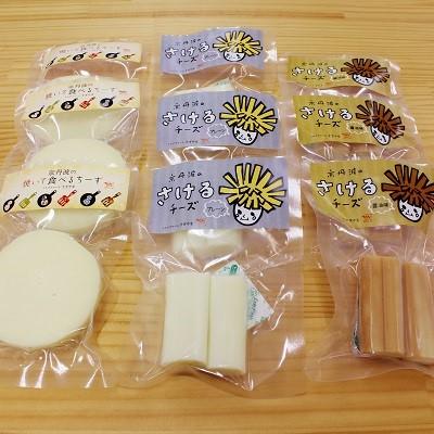ふるさと納税 京丹波町 焼いて食べるチーズ・さけるチーズ詰め合わせ