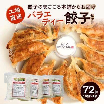 ふるさと納税 久留米市 バラエティー餃子4袋セット