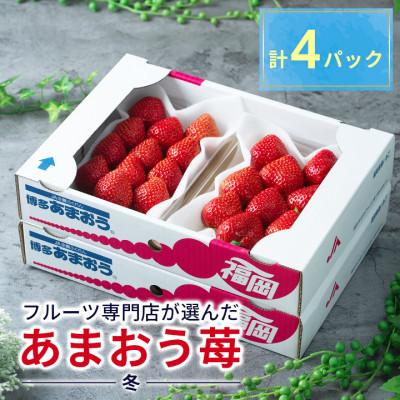 ふるさと納税 久留米市 [12月上旬より順次発送[久留米]フルーツ専門店が選んだ「あまおう苺」冬4パック