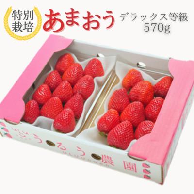 ふるさと納税 久留米市 うるう農園のあまおう デラックス等級 2パック(570g)