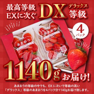 ふるさと納税 久留米市 うるう農園のあまおう デラックス等級 4パック(1140g)