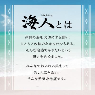 ふるさと納税 糸満市 泡盛海人1升パック1ケース |  | 02