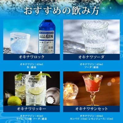 ふるさと納税 糸満市 沖縄のクラフトジン「まさひろオキナワジン　レシピ01」 |  | 03
