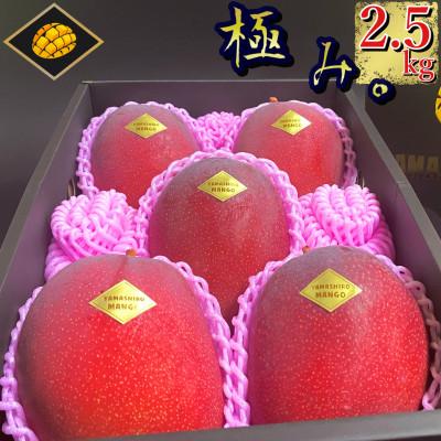 ふるさと納税 糸満市 [2027年発送]『極み。』2.5kg 山城マンゴー屋の沖縄県産マンゴー!!