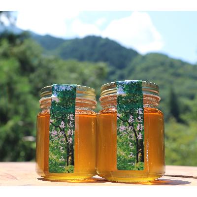 ふるさと納税 道志村 道志村産 森のはちみつ(130g×2本)