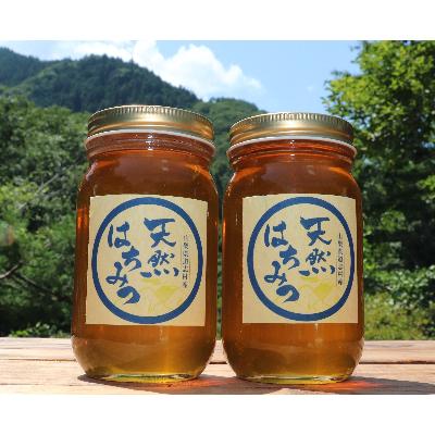 ふるさと納税 道志村 道志村産 天然はちみつ(300g×2本)