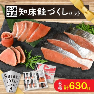 ふるさと納税 斜里町 知床鮭づくし 鮭切り身3種とスモークサーモン2種と鮭たたきセット 天然トキシラズ