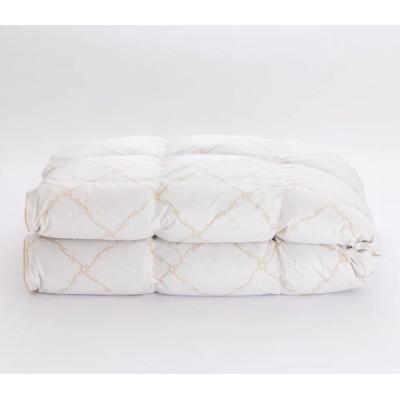 ふるさと納税 愛荘町 IWATA羽毛ふとん グレートナチュラルグースダウン・セミダブルサイズ