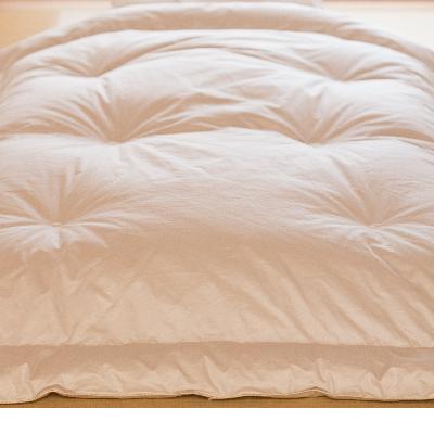 ふるさと納税 愛荘町 IWATA羽毛ふとん アイダーダックダウン・シングルサイズ