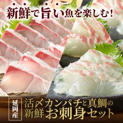 ふるさと納税 延岡市 延岡産活〆カンパチと真鯛の新鮮お刺身セット