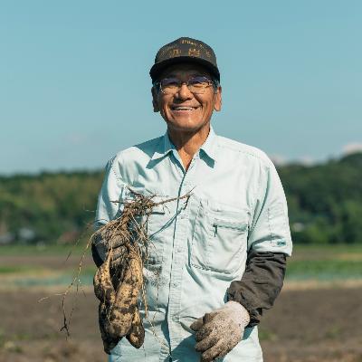 ふるさと納税 日置市 【ふるさと納税】 本格芋焼酎ふるさと鹿児島限定セット 小正醸造 |  | 01