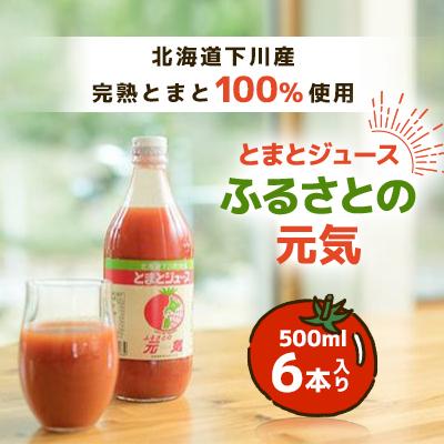 ふるさと納税 下川町 ふるさとの元気500ml 6本入り
