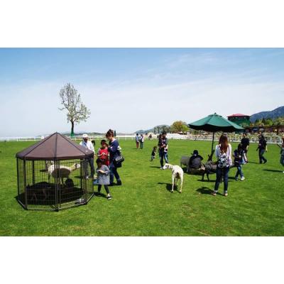 ふるさと納税 河南町 ワールド牧場入場券ペア1組