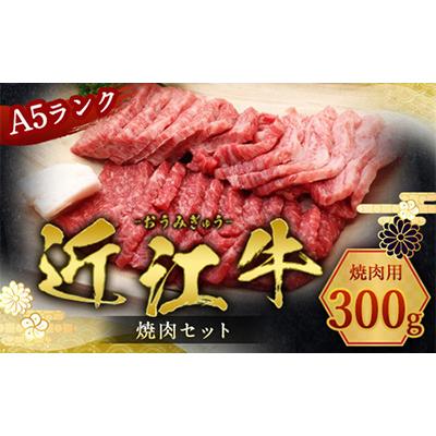 ふるさと納税 愛荘町 近江牛焼肉セット 300g