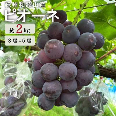 ふるさと納税 上富田町 紀州和歌山産ピオーネ 約2kg