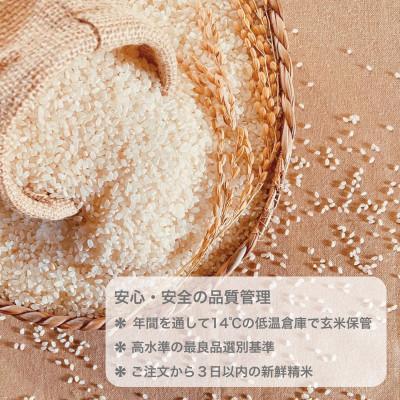 ふるさと納税 弥富市 コシヒカリ5kg、あいちのかおり5kg 2袋セットの画像