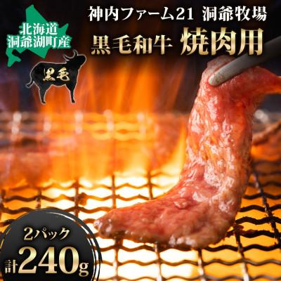 ふるさと納税 洞爺湖町 北海道 洞爺湖町産 黒毛和牛 焼肉用 120g×2パック 神内ファーム21 洞爺牧場 神内和牛