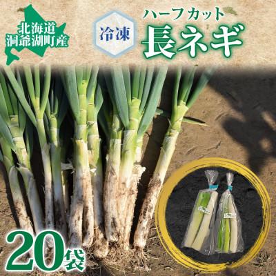 ふるさと納税 洞爺湖町 北海道産 洞爺湖近郊 長ねぎ 1/2本×20袋 小分け カット済 野菜 冷凍