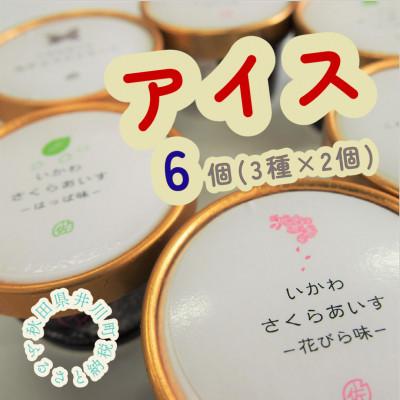 ふるさと納税 井川町 さくらアイス 6個(3種類×2個)セット ブラックベリーシャーベット味 花びら味 はっぱ味