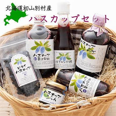 ふるさと納税 初山別村 初山別産ハスカップ詰合せ