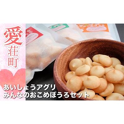 ふるさと納税 愛荘町 あいしょうアグリ みんなのおこめぼうろセット