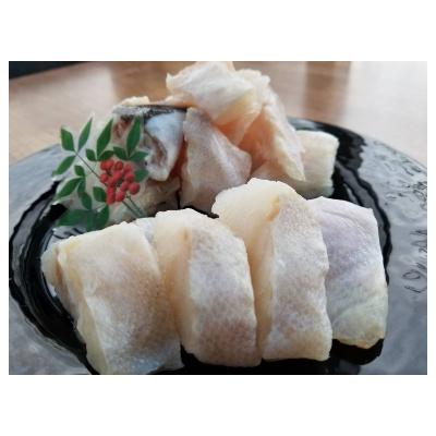 ふるさと納税 白浜町 本クエ鍋用 | 