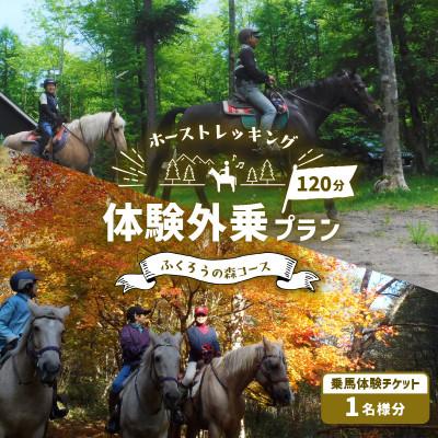 ふるさと納税 苫小牧市 大自然の森でホーストレッキング!体験外乗プラン120分「ふくろうの森コース」