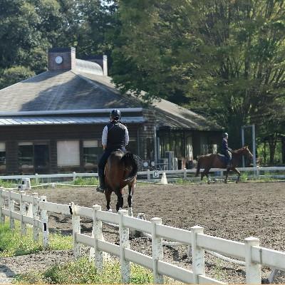ふるさと納税 龍ケ崎市 初心者乗馬体験【レッスン3回コース】_2