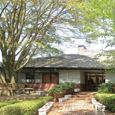 ふるさと納税 龍ケ崎市 初心者乗馬体験【レッスン3回コース】_3