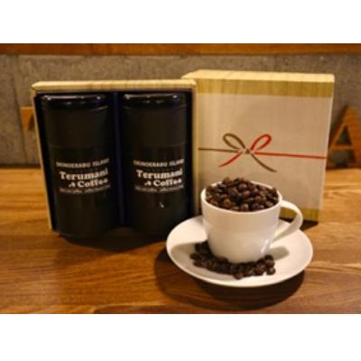 ふるさと納税 奄美市 自家焙煎[てるまに珈琲] スペシャルブレンドコーヒーギフトセット80g×2[粉]